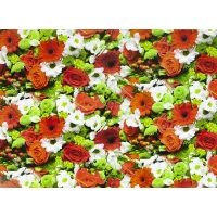 Бумага упаковочная мелованная 80г 10 листов 100 х 70см Разноцветный Unison (PVM10-84) Бумага упаковочная мелованная 80г 10 листов 100 х 70см Разноцветный Unison (PVM10-84)