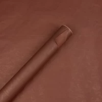 Эко  крафт цветной, бумага подарочная, 0,53 х 6м, 80г Коричневый Unison (ECP009)