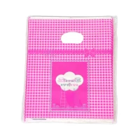 Подарочные пакеты, полиэтиленовые 20 х 25см, 24шт/уп (10700-7)