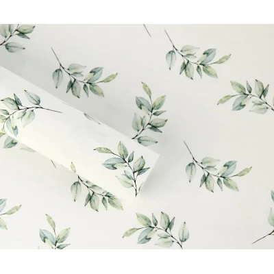 Бумага для упаковки подарков 10 листов  100 х 70см 50г (PCZ10070-10-599)