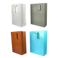 Пакет подарочный 210гр, 30 х 42.5 х 12см (Y5851L)