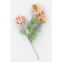 Ветка - Скабиоза звездчатая, 65см розовая (с30509-3)