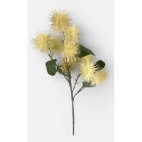 Ветвь декоративная Эхинопс, 60см жовта (с30517-3)