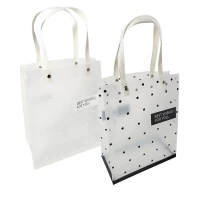 Пакет пластиковый, 25 х 33см (6659 48-6)