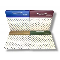 Пакет подарочный 210гр,30 x 27 x12cm   (12шт/уп) Разноцветный Unison (ZY-1706A)
