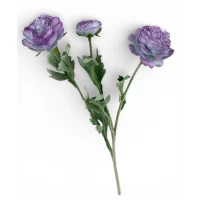 Ветка ранункулюса азийского, 50 см, лиловая (с30555-1)