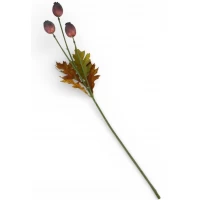 Ветка мака 73см, бурая (с30513-2)