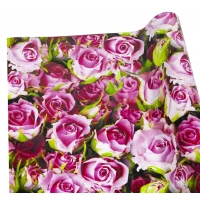 Бумага упаковочная мелованная 80г 10 листов  100 х 70см Разноцветный Unison (PVM10-193)