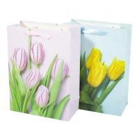 Пакет подарочный 210гр, 26 x 32 x 10см (12шт/уп) Разноцветный Unison (NO-00014-4M)