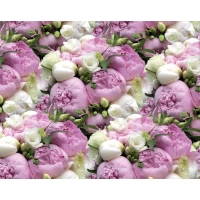 Бумага упаковочная мелованная 80г 10 листов 100 х 70см Фиолетовый Unison (PVM10-53) Бумага упаковочная мелованная 80г 10 листов 100 х 70см Фиолетовый Unison (PVM10-53)