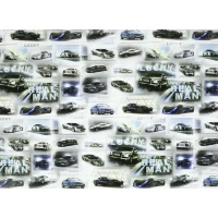 Бумага упаковочная мелованная 80г 10 листов  100 х 70см Разноцветный Unison (PVM10-97)