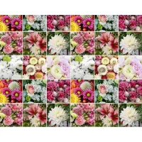 Бумага упаковочная мелованная 80г 10 листов  100 х 70см Разноцветный Unison (PVM10-261)