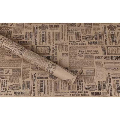 Эко - крафт, бумага подарочная, 0,6 х 6м, 80г (ECP004.1)