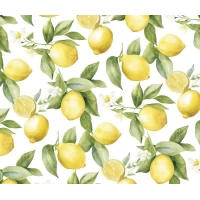 Бумага для упаковки подарков 10 листов  100 х 70см 50г (PCZ10070-10-589)