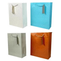 Пакет подарочный 210гр, 18 х 23 х 10см (Y5851S)