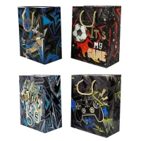 Пакет подарочный 210гр, 26 х 32 х 10см (Q3021M)