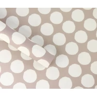 Бумага для упаковки подарков 10 листов  100 х 70см 50г (PCZ10070-10-602)