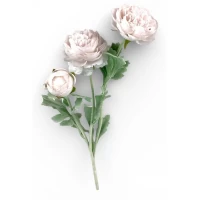 Ветка ранункулюса азийского, 50 см, пудровая (с30555-6)
