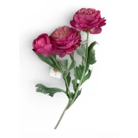 Ветка ранункулюса азийского, 50 см, малиновая (с30555-3)
