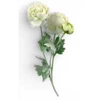 Ветка ранункулюса азийского, 50 см, молочная (с30555-2)