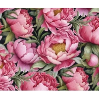 Бумага для упаковки подарков 10 листов 100 х 70см 50г (PCZ10070-10-580)