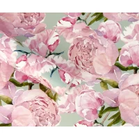 Бумага для упаковки подарков 10 листов  100 х 70см 50г (PCZ10070-10-601)