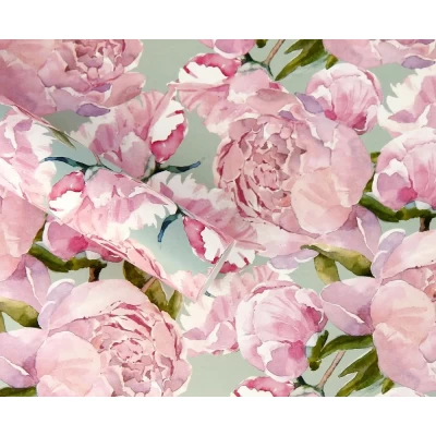 Бумага для упаковки подарков 10 листов  100 х 70см 50г (PCZ10070-10-601)