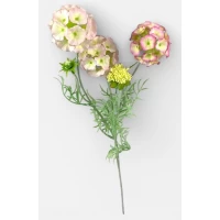 Ветка - Скабиоза звездчатая, 65см светло-розовая Unison (c30509-2)