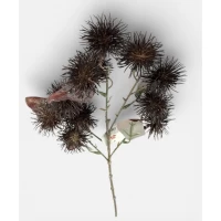 Ветвь декоративная Эхинопс, 60см темно-коричневая Unison (c30517)