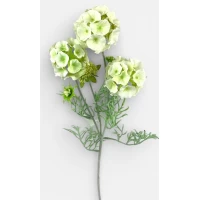 Ветка - Скабиоза звездчатая, 65см белая Unison (c30509-1)