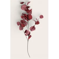 Ветвь декоративная эвкалипта, 83см бордово-красная Unison (c33)
