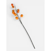 Ветка физалиса, 76 см, оранжевая Unison (c30514-2)