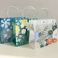 Пакет пластиковый, 25,5 х 20 х 9,5см (2002) Пакет пластиковый, 25,5 х 20 х 9,5см (2002)