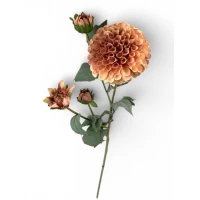 Ветка георгины, 68 см, бежево-пудровая Unison (c30512)