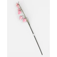 Ветка физалиса, 71 см, розовая Unison (c30556)