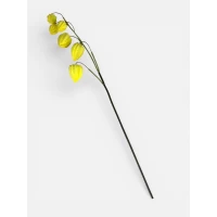 Ветка физалиса, 71 см, желтая Unison (c30556-1)