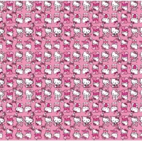 Бумага упаковочная мелованная 80г 10 листов  100 х 70см (PVM10-351)