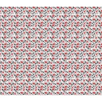 Бумага упаковочная мелованная 80г 10 листов  100 х 70см (PVM10-352)