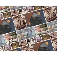 Бумага упаковочная мелованная 80г 10 листов 100 х 70см (PVM10-353) Бумага упаковочная мелованная 80г 10 листов 100 х 70см (PVM10-353)