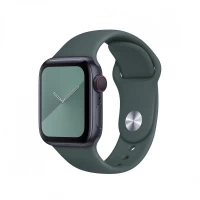 Ремінець Sport Band Apple Watch 38 mm 40 mm 41 mm — Gray Green