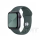 Ремінець Sport Band Apple Watch 42 mm 44 mm 45 mm 49 mm — Pine Green