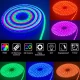 LED лента RGB Neon Rope 10м c пультом IP67