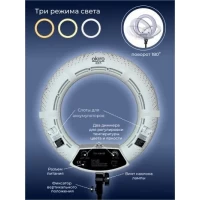 Лампа Кольцевая LED FS-480 II LSD