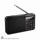 Портативное радио Veron PR30 Портативное радио Veron PR30