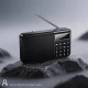 Портативное радио Veron PR30 Портативное радио Veron PR30