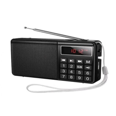 Портативное радио Hoco HI50