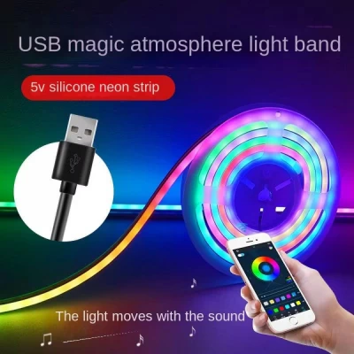 LED лента RGB Neon Rope 5м c пультом IP67