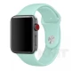 Ремінець Sport Band Apple Watch 42 mm 44 mm 45 mm 49 mm — Pine Green