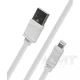 АЗУ и кабель Lightning « Hoco - Z1 » — 2 USB — 2.1A — White