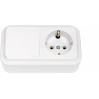 В-РЦ-527 Блок выключатель+розетка евро Пралеска Bylectrica белый